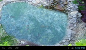 Koi fish pond II screenshot 3