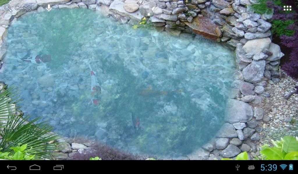 Koi fish pond II - Preview 3
