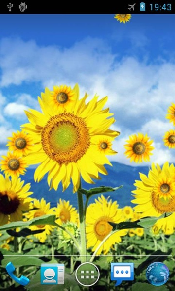 Sunflower - Preview 1