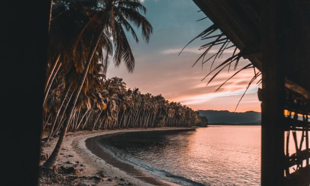 The most beautiful pictures and summer backgrounds - Preview 4