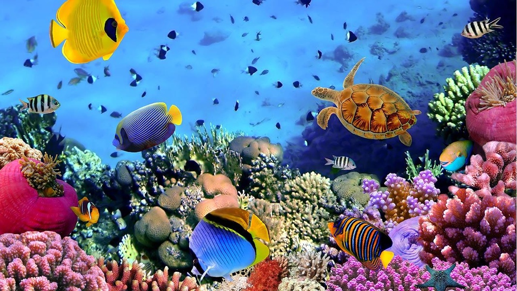 Ocean Fish Live Wallpaper - Preview 9