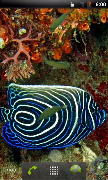 Tropical Fish Live Wallpaper - Preview 1