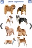 Dog Breeds 🐶 Golden Retriever | Rottweiler screenshot 19