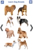 Dog Breeds Golden Retriever | Rottweiler screenshot 20