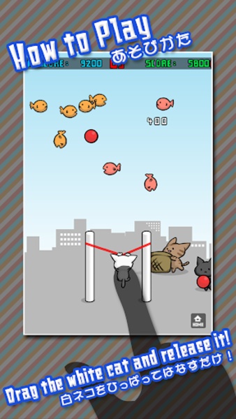 Cat Shot - Preview 12