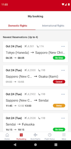 JAL - Preview 5