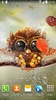 Autumn Little Owl Wallpaper screenshot 7
