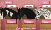 Horse Braiding screenshot 7