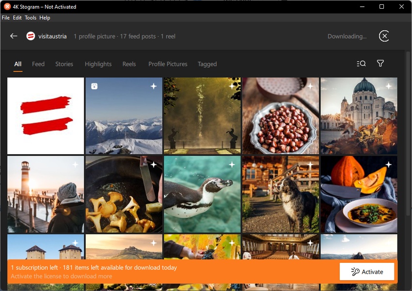 4K Stogram Full Crack Español 3