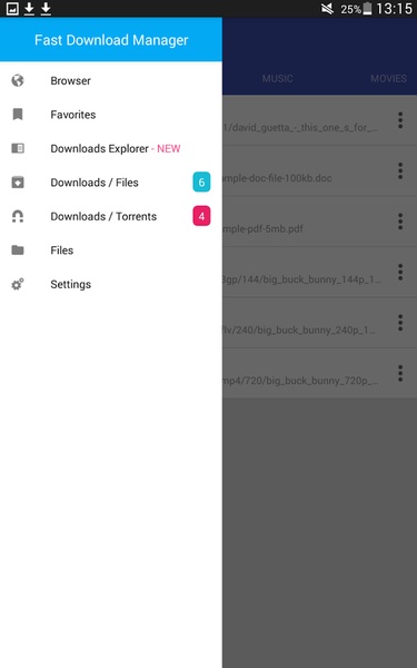 Fast Download Manager - Preview 12