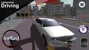 Driving in Car screenshot 4