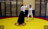 Aikido Test 5 kyu screenshot 3