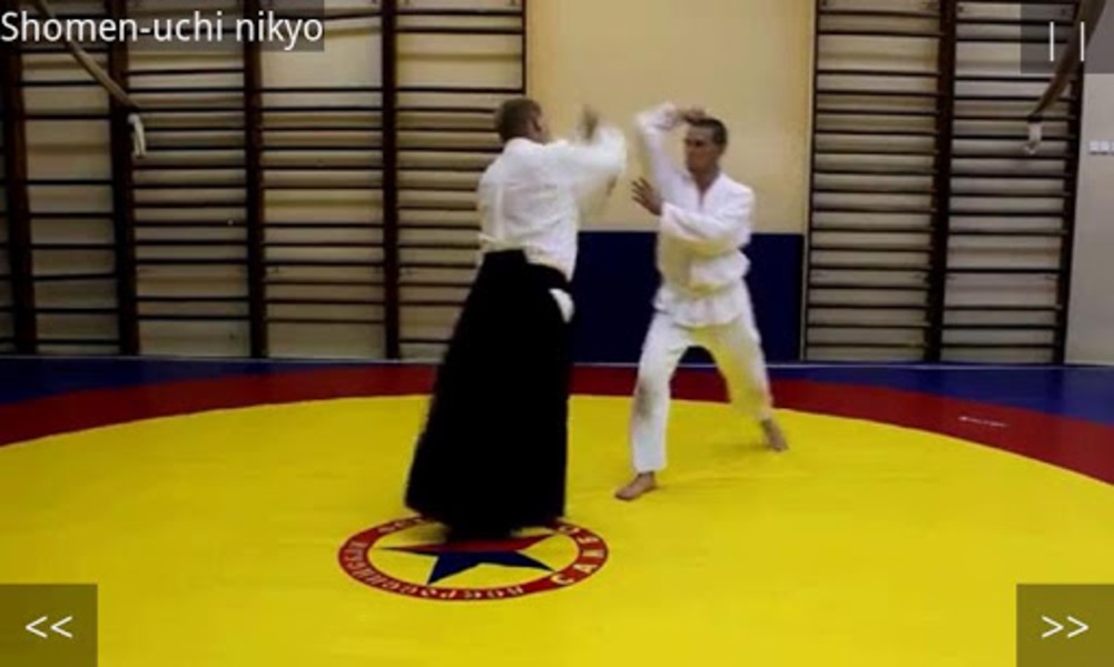 Aikido Test 5 kyu - Preview 3