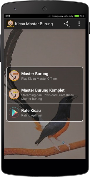 Kicau Master Burung - Preview 6