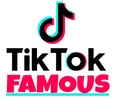 TikTok Views Followers, Likes For Free screenshot 2