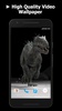Dinosaur Video Wallpaper screenshot 5