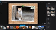 Ashampoo Photo Optimizer screenshot 8