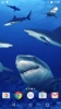 Sharks Live Wallpaper screenshot 3
