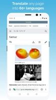 Kiwi Browser screenshot 12