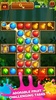 Fruit Splash Pro screenshot 8