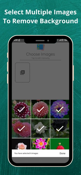 Batch BG Remover - Preview 1