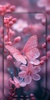 Pink Wallpaper screenshot 8