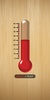 Thermometer screenshot 4