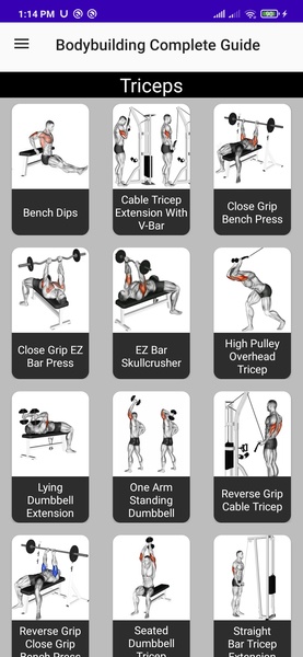 Bodybuilding Complete Guide - Preview 4