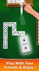 Dominoes Offline - Dice Game screenshot 2