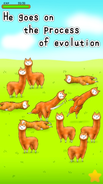 Alpaca - Preview 8