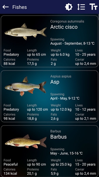 Fishing forecast - Preview 3