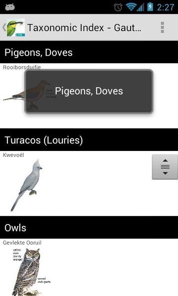 Sasol eBirds (Lite) - Preview 7