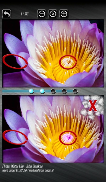 Find the Difference I - Preview 6