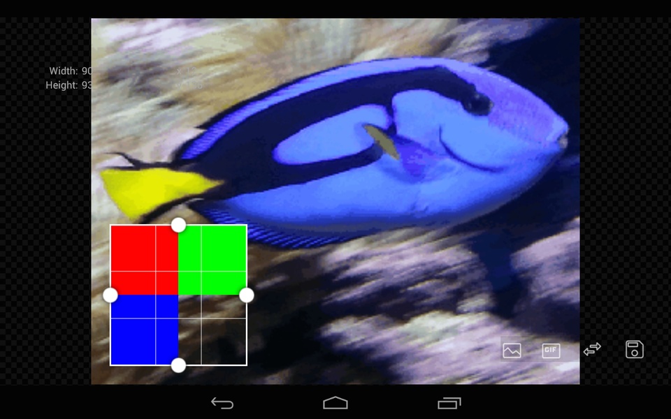 GIF Studio - Preview 2