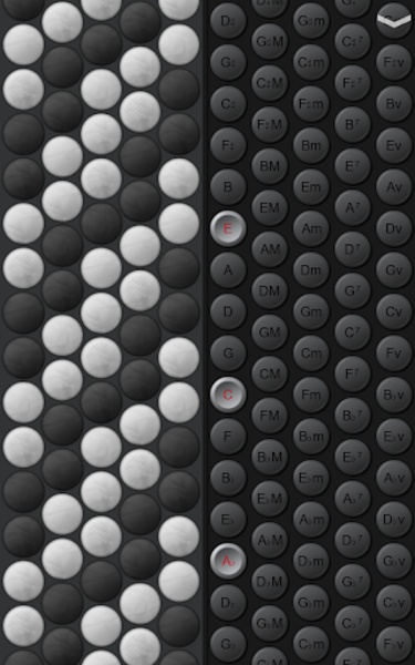 Button Accordion - Preview 1