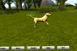 Pet Dog screenshot 2