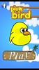 Piuw Bird screenshot 1