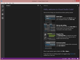 Visual Studio Code screenshot 1