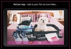 PetCam App - Dog Camera App screenshot 6