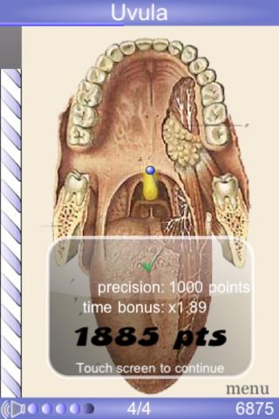 Speed Anatomy - Preview 1