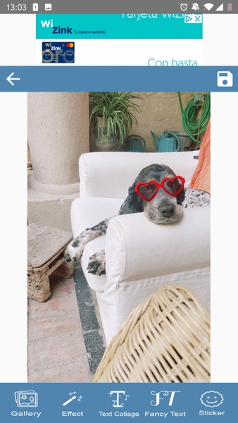 Photo Text Collage Creator - Preview 8