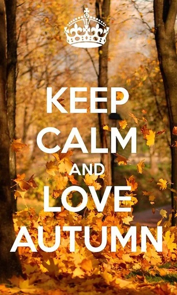 Keep Calm and... Wallpapers - Preview 2