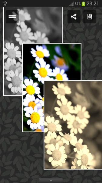 Photo Album - Preview 2