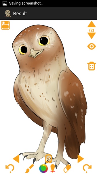 Draw Owls - Preview 9