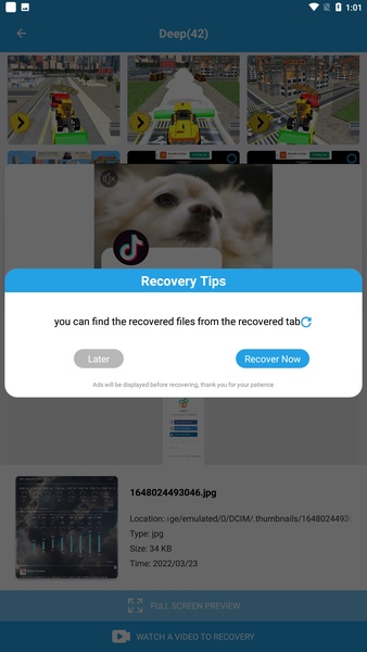 FileBin - Preview 5