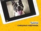 АйДаПрикол screenshot 3