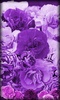 Purple Flowers Live Wallpaper screenshot 5