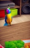 My Talking Parrot screenshot 23