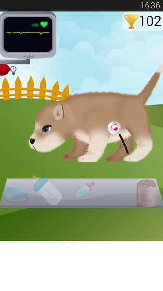 Dog Pregnancy - Preview 4