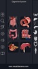 Digestive System Anatomy screenshot 16